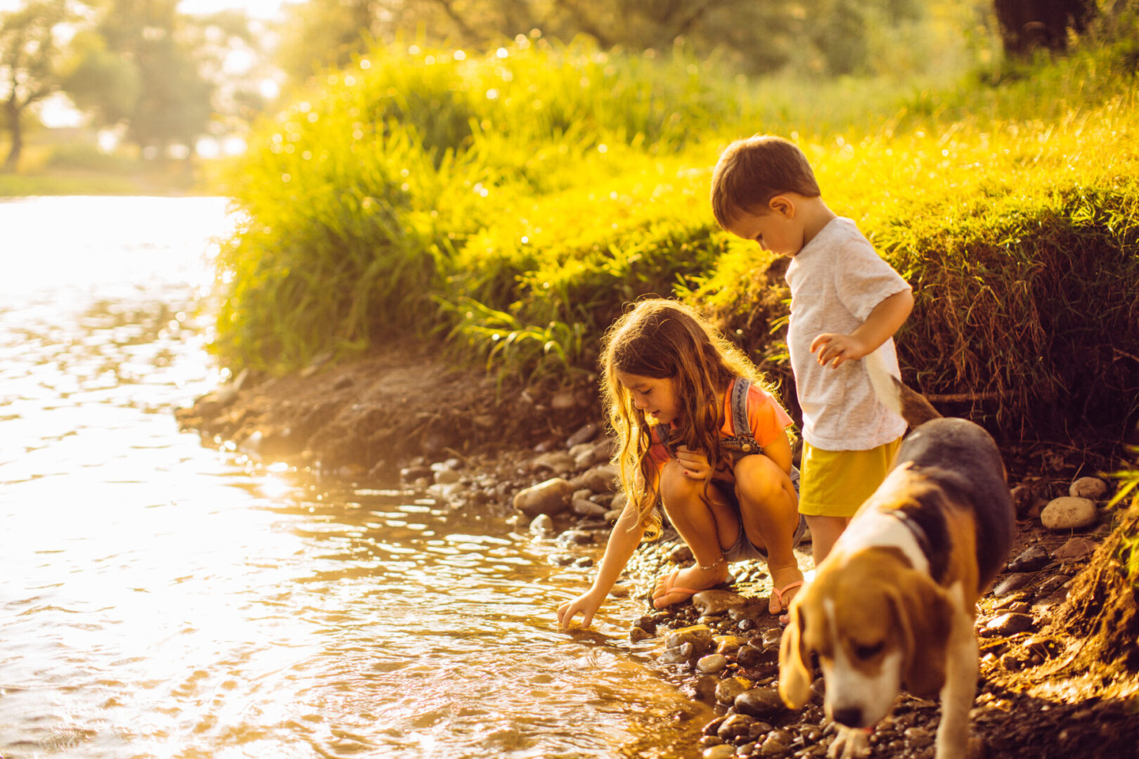 Two children and a dog playing in the water.