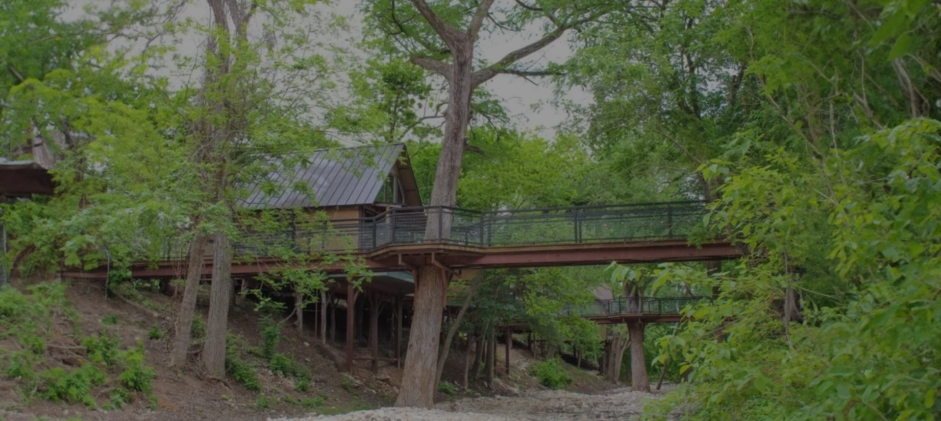 A tree house with a bridge over it