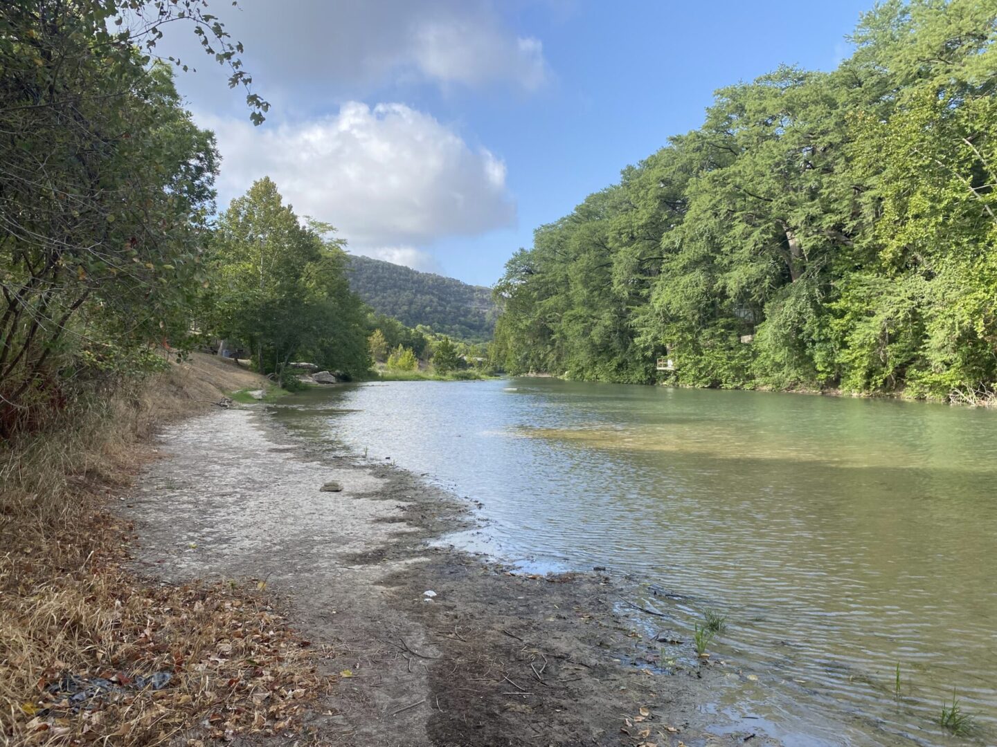 A river with trees on both sides of it.