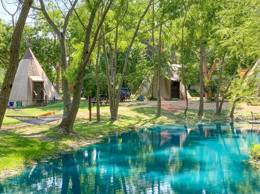 A pool surrounded by trees and some houses